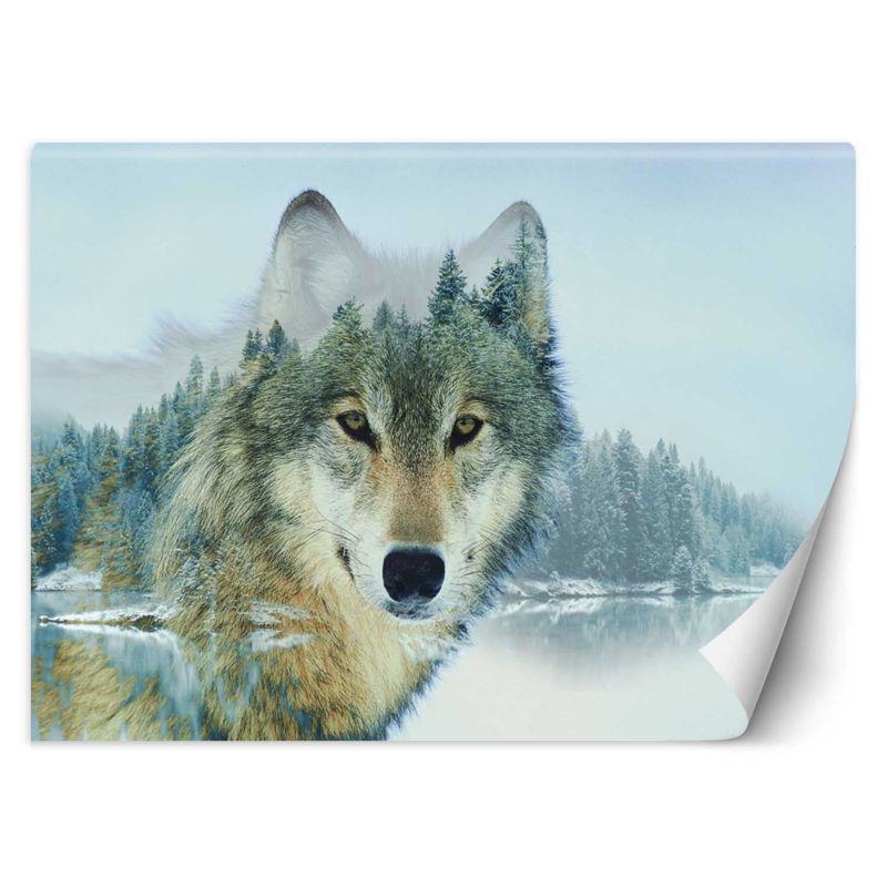 Fototapeta Feeby Wilk jezioro 350x245 1 szt