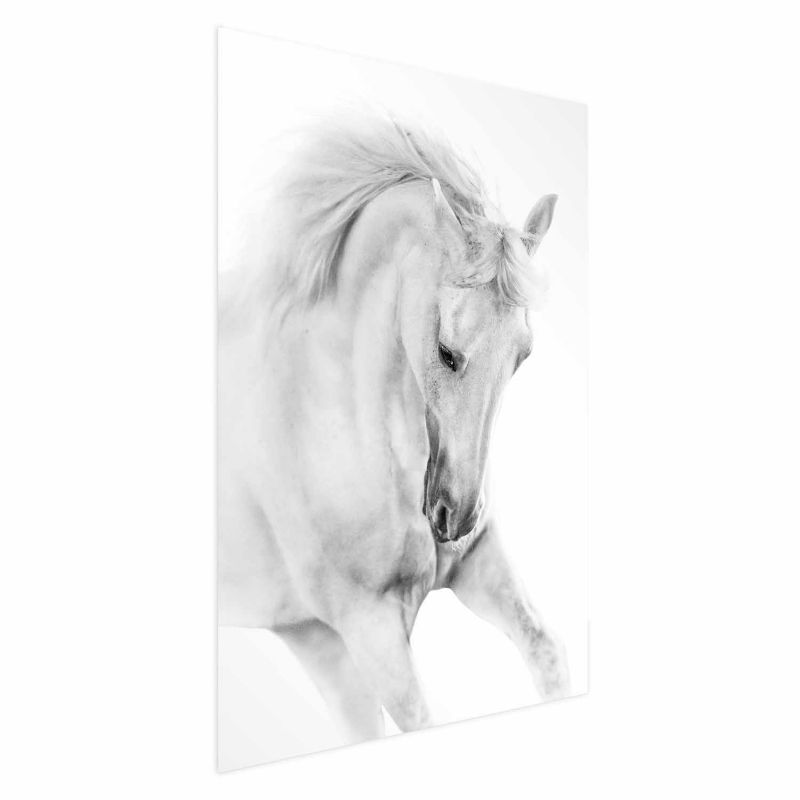 Plakat Artgeist Biały koń 29,7x42 cm bez ramy 1 szt