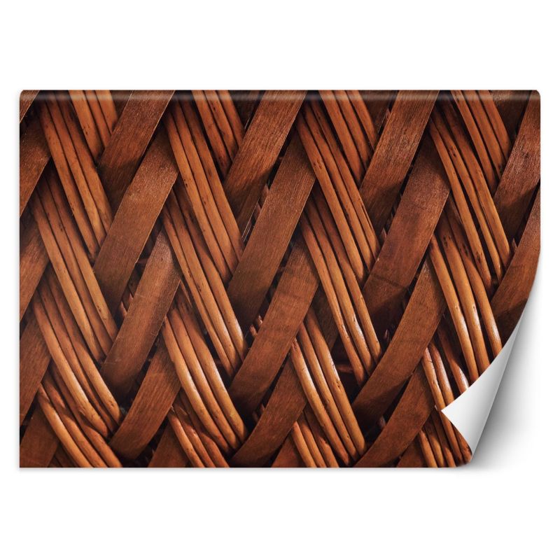 Fototapeta Feeby Splot wikliny 3D 200x140 1 szt