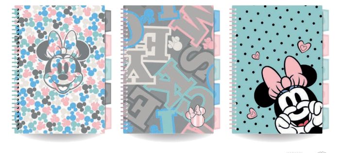 DISNEY FASHION - KOŁOBRULION B5 / 100 K. MIX 3 WZORÓW /MINNIE MOUSE /2