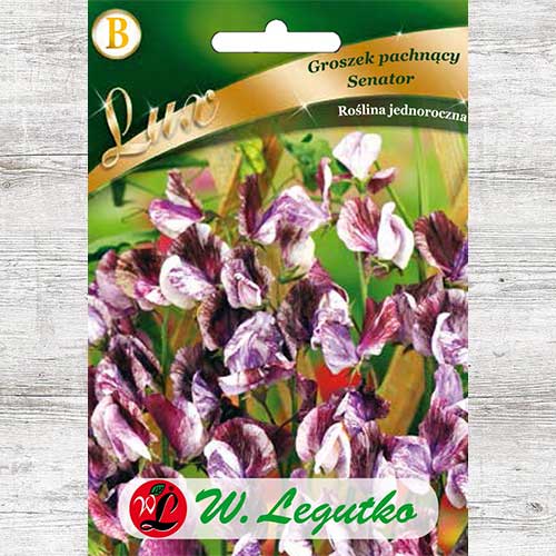 1 pac, Lathyrus odoratus (Sângele voinicului) Senator Legutko - Semințe: Mod de ambalare: 10 g
