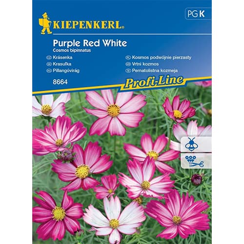 1 ob, Krásenka Purple Red White - : Monžstvo balíkov: 1 ob