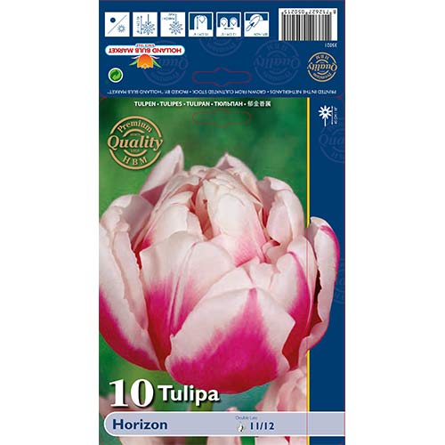 10 kus, Tulipán Horizon - : Monžstvo balíkov: 10 kus