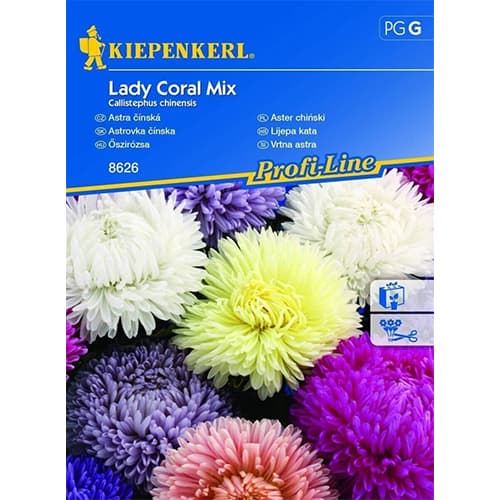 1 ob, Astra čínská Lady Coral, směs - : Monžstvo balíkov: 1 ob
