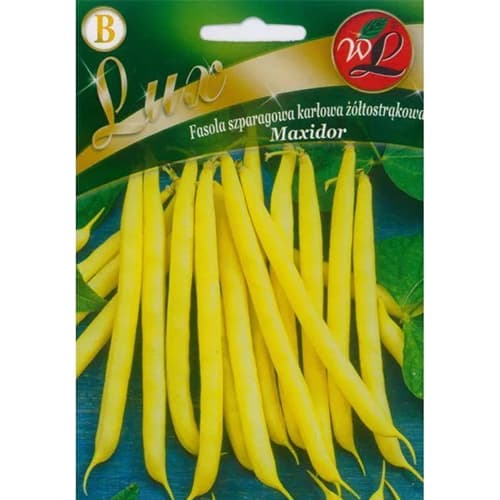 1 szt, Törpe bab Maxidor - Magok: Mod de ambalare: 50 g