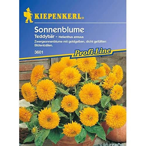 1 szt, Sonnenblumen Teddybär - Samen: Ilość w opakowaniu: 1 Stück