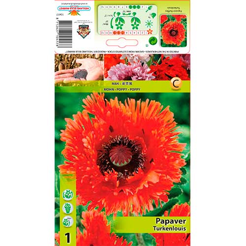 1 Stück, Orientalischer Mohn Ruffles Turkenlouis - Stauden: Ilość w opakowaniu: 1 Stück