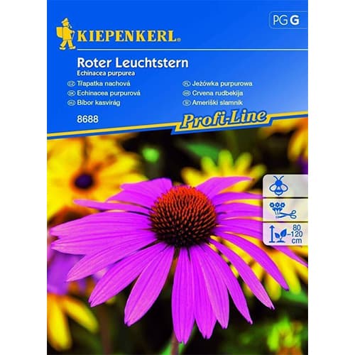 1 szt, Roter Leuchtstern - Samen: Ilość w opakowaniu: 1 Stück