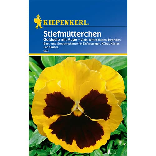 1 szt, Stiefmütterchen Goldgelb mit Auge - Samen: Ilość w opakowaniu: 1 Stück