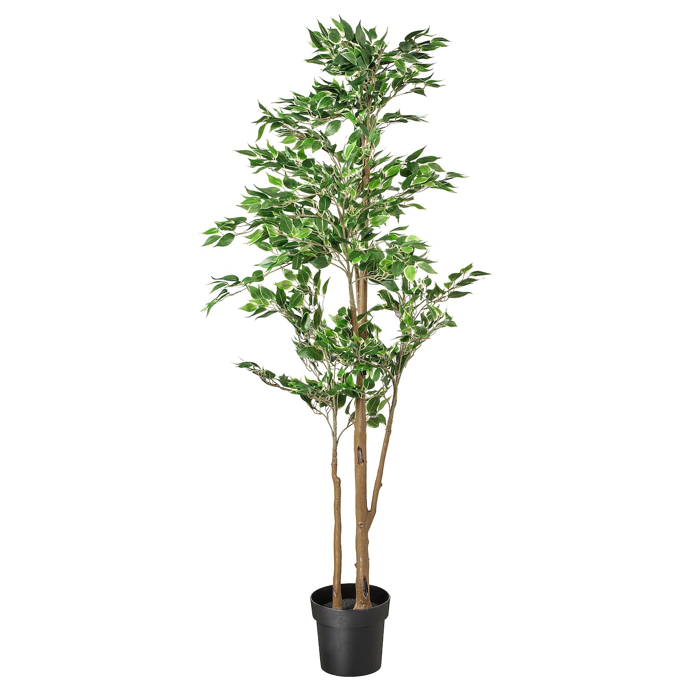 IKEA FEJKA sztuczna roślina doniczkowa, do wewnątrz/na zewnątrz Figa płacząca, 21 cm