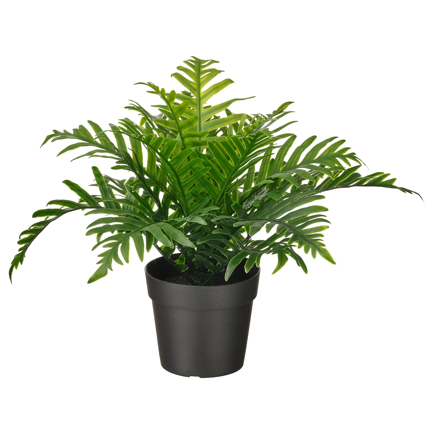 IKEA FEJKA sztuczna roślina doniczkowa, do wewnątrz/na zewnątrz Paprotka, 9 cm