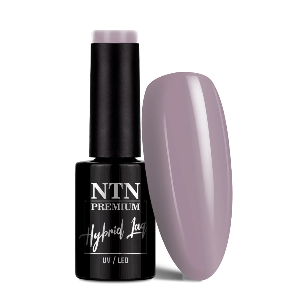 Lakier hybrydowy Ntn Premium Splash Collection 5 g Nr 121
