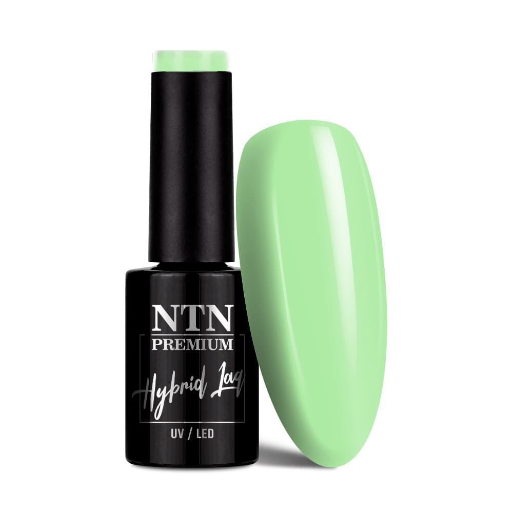 Lakier hybrydowy Ntn Premium California Collection 5 g Nr 138