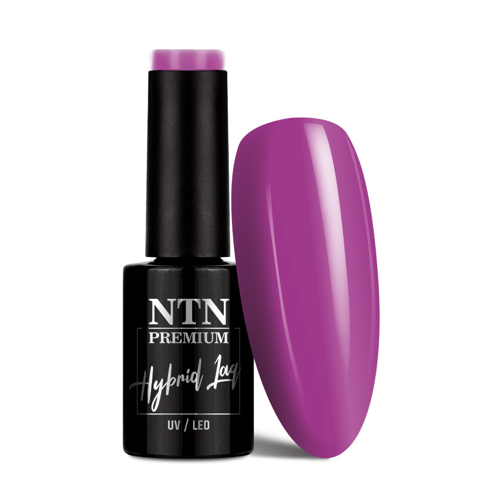 Lakier hybrydowy Ntn Premium Uptown Girl Collection 5 g Nr 20