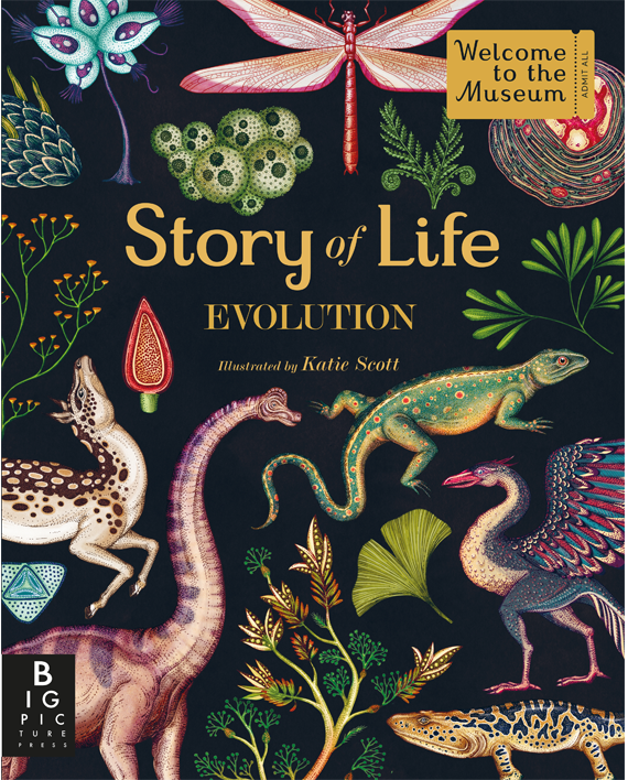 Story of Life. Evolution