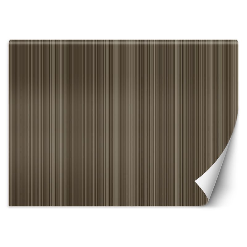 Fototapeta Feeby Linie pionowe abstrakcja 250x175 1 szt