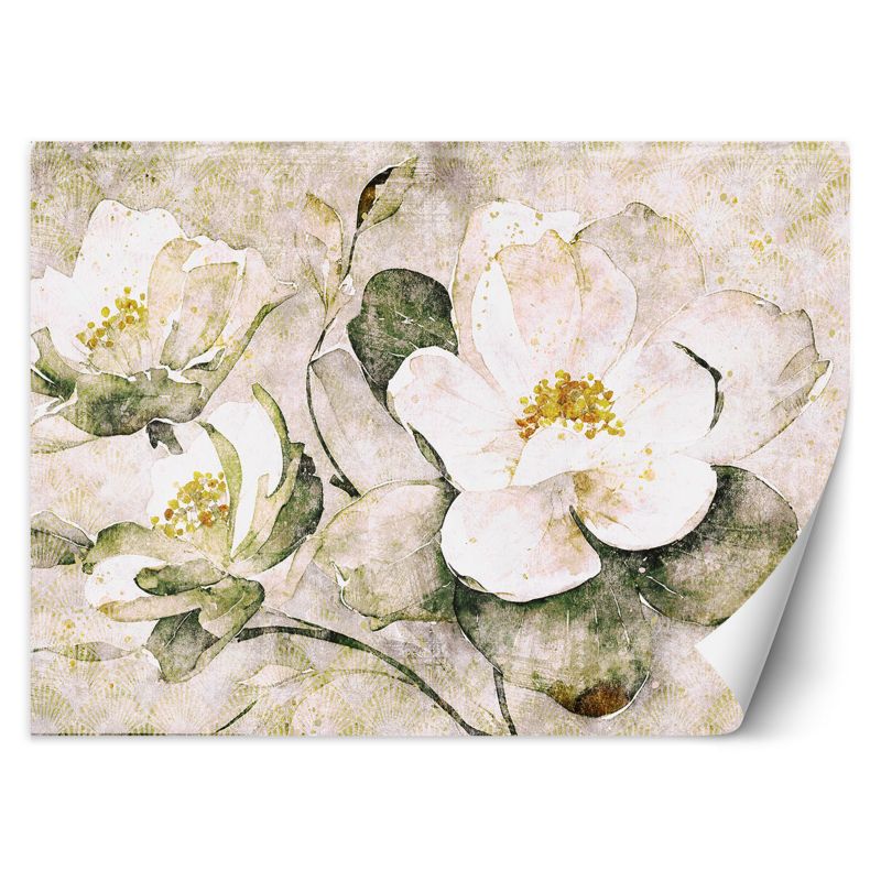 Fototapeta Feeby Białe kwiaty natura 150x105 1 szt
