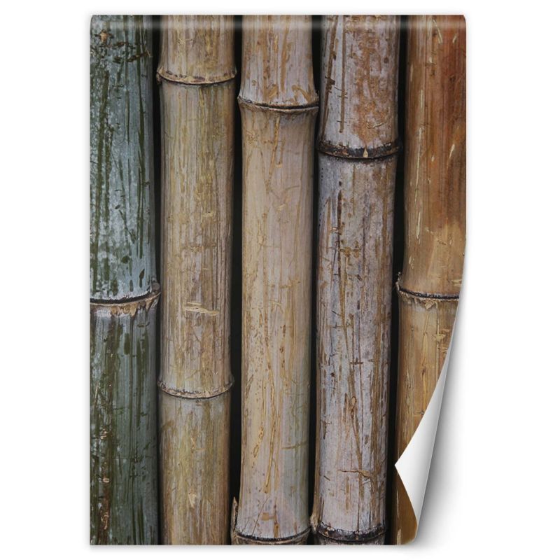 Fototapeta Feeby Pastelowe łodygi babmusa 200x280 1 szt