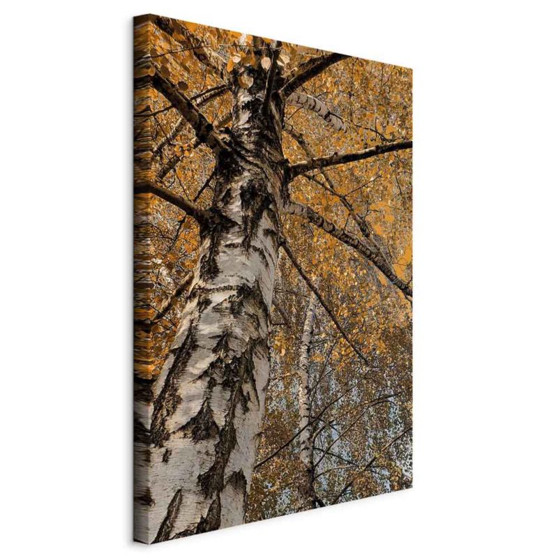 Obraz Artgeist Jesienna kolorystyka 20 x 30 cm płótno włoskie 1 szt