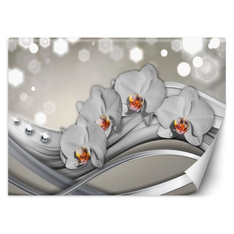 Fototapeta Feeby Orchidea abstrakcja 300x210 1 szt