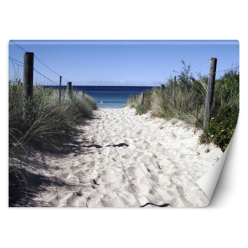 Fototapeta Feeby Droga na plażę wydmy piasek 400x280 1 szt