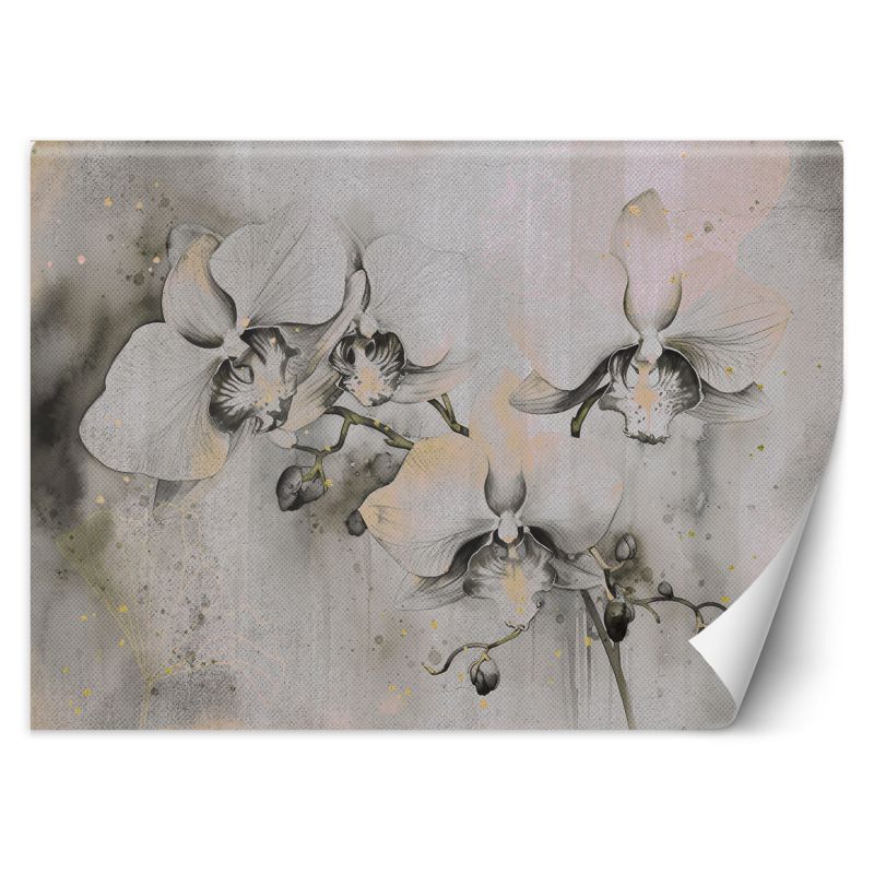 Fototapeta Feeby Kwitnące orchidee abstrakcja 350x245 1 szt
