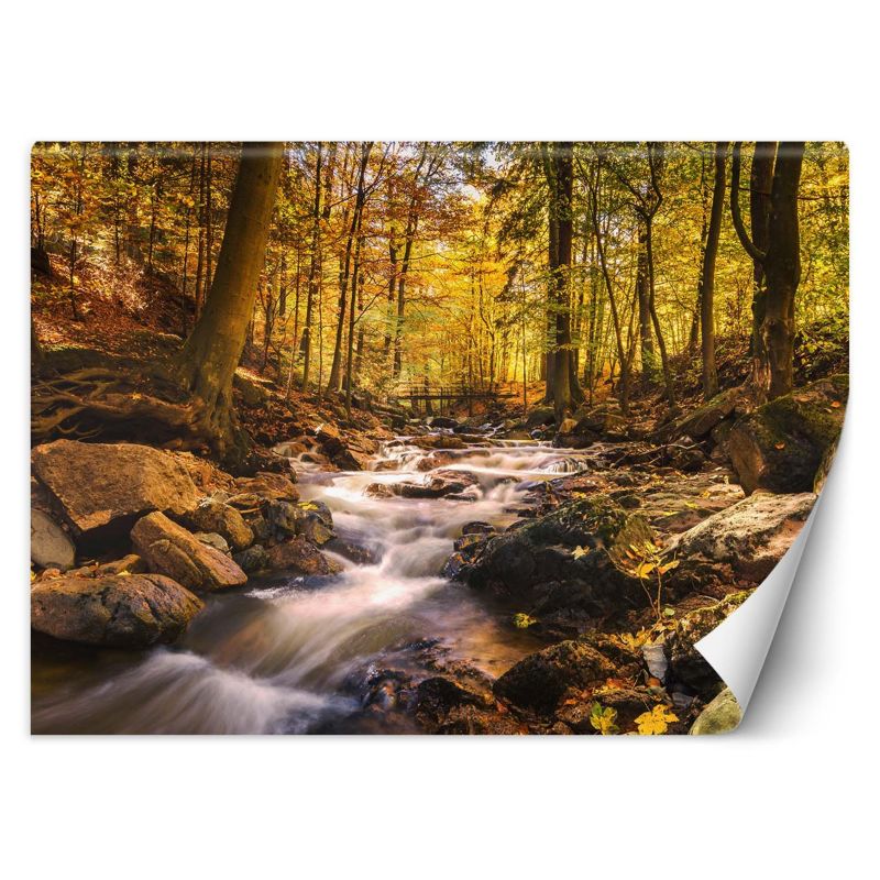 Fototapeta Feeby Leśny potok jesienią 350x245 1 szt