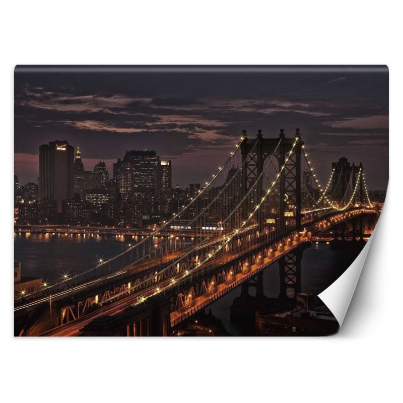 Fototapeta Feeby Most Nowy Jork 100x70 1 szt