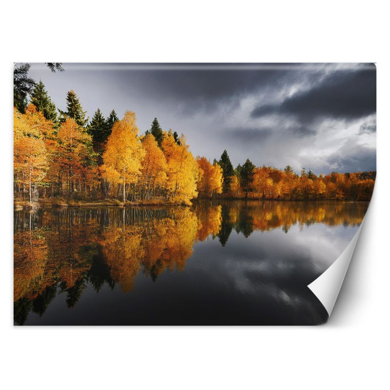 Fototapeta Feeby Jesienny Las nad Jeziorem 400x280 1 szt