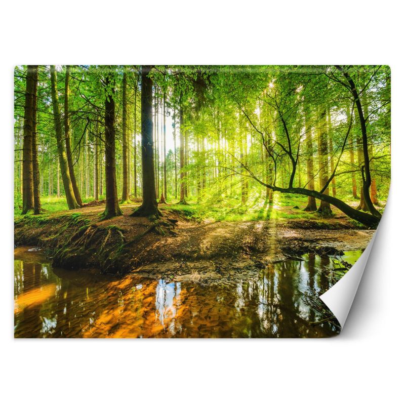 Fototapeta Feeby Las potok strumień promienie słońca natura 350x245 1 szt