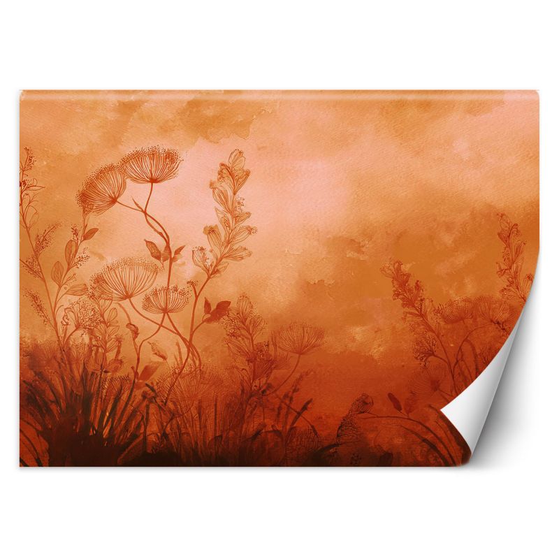 Fototapeta Feeby Rośliny Łąka Pomarańczowy 450x315 1 szt