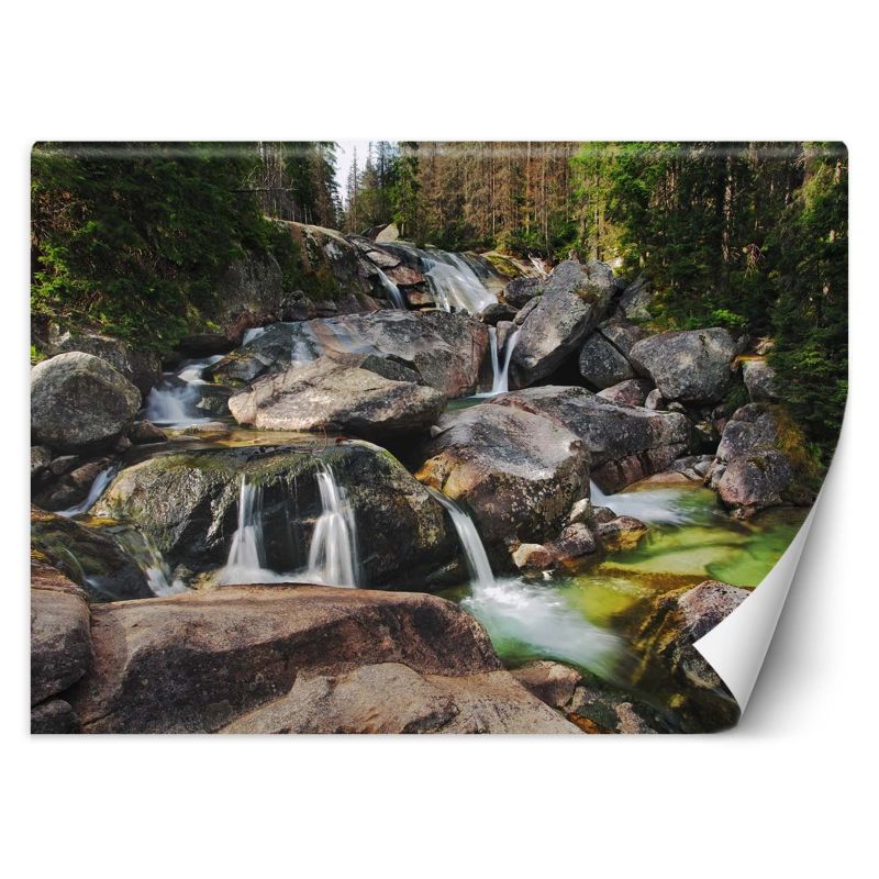 Fototapeta Feeby Górski potok natura 100x70 1 szt