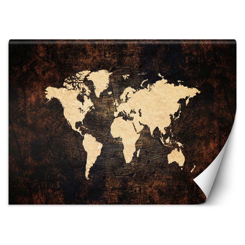 Fototapeta Feeby Mapa świata brązowa 100x70 1 szt