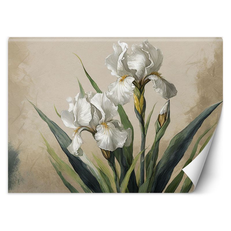 Fototapeta Feeby Białe kwiaty 150x105 1 szt