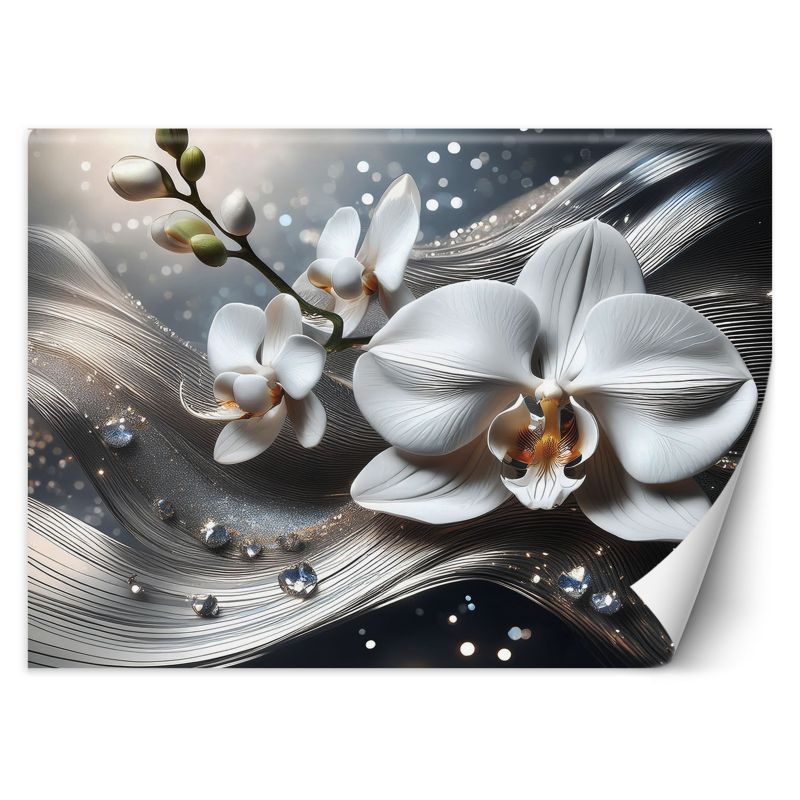 Fototapeta Feeby Abstrakcja 3D Orchidea 150x105 1 szt