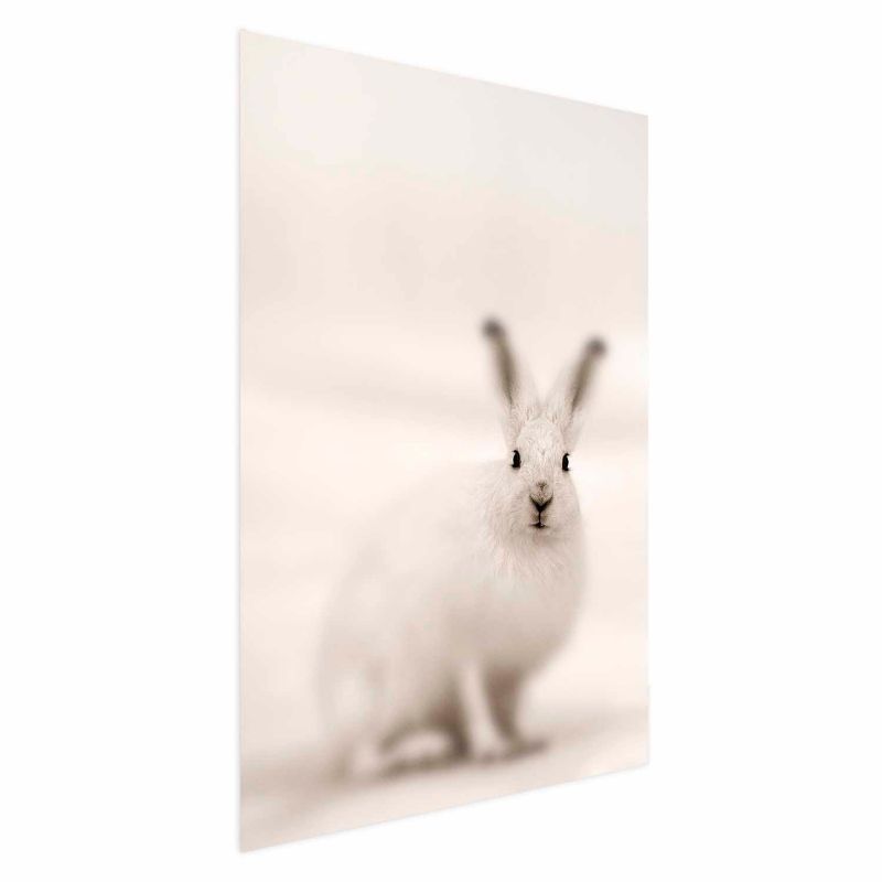Plakat Artgeist Strachliwe spojrzenie 40x60 cm bez ramy 1 szt