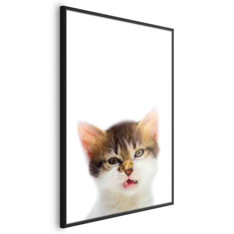 Plakat Artgeist Zirytowany kot 29,7x42 cm z ramą czarną 1 szt