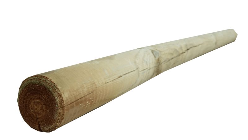 Palisada faza/faza Roma 8x240 cm 1szt.