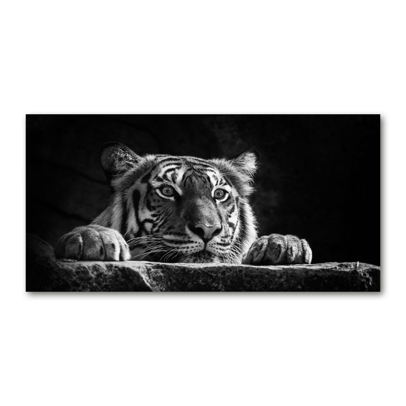Obraz canvas Tulup Tygrys 140x70 cm 1 szt.
