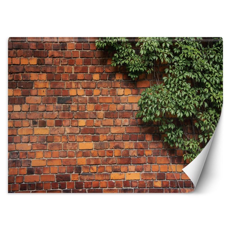 Fototapeta Feeby Mur z cegły rośliny 350x245 1 szt