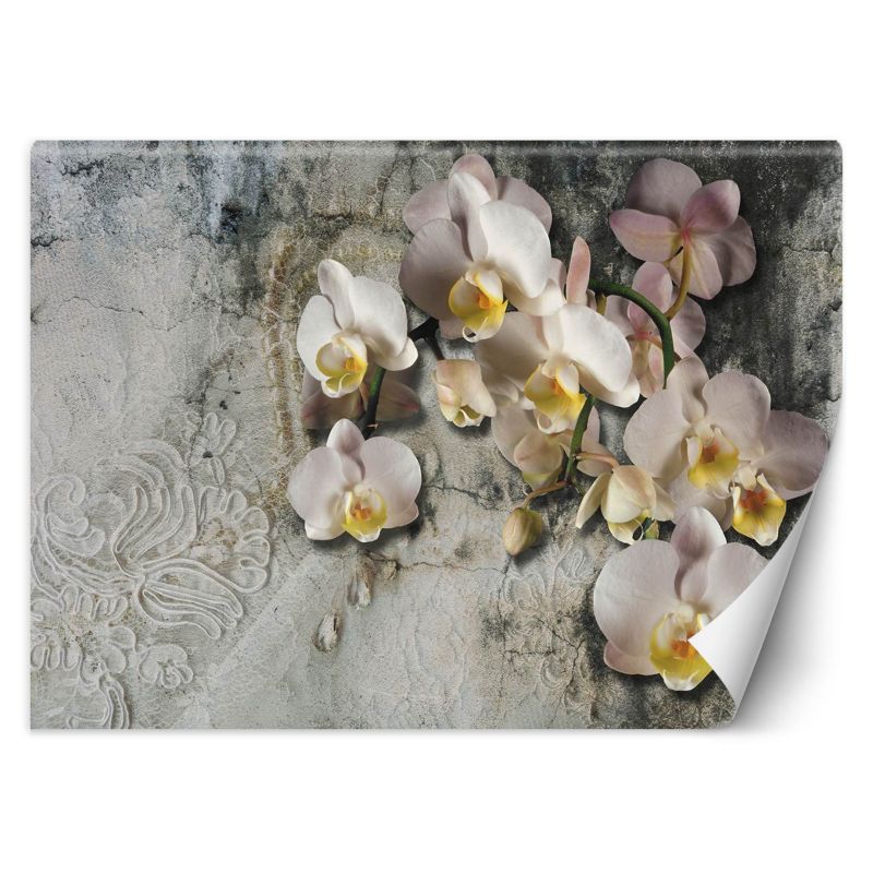 Fototapeta Feeby Orchidea kwiaty na tle starej ściany 200x140 1 szt