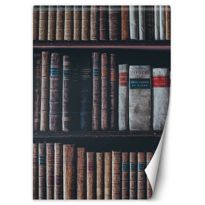 Fototapeta Feeby Biblioteka książki 100x140 1 szt