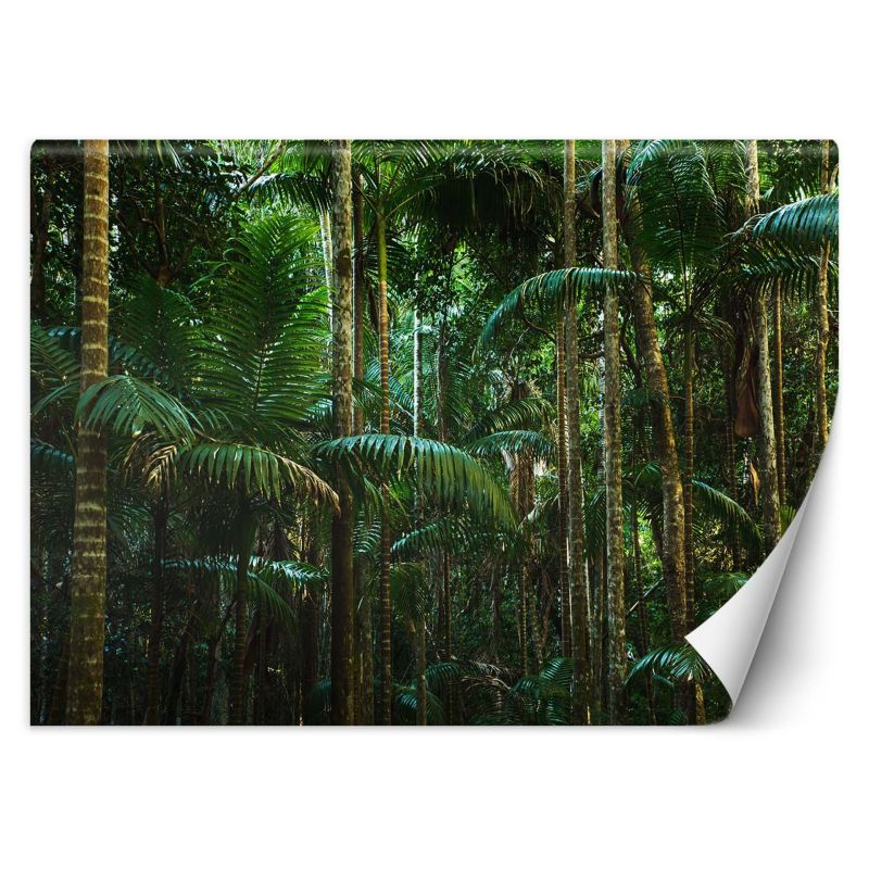 Fototapeta Feeby Las tropikalny natura 250x175 1 szt