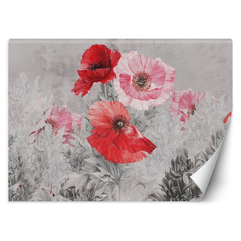 Fototapeta Feeby Czerwone maki akwarela 450x315 1 szt