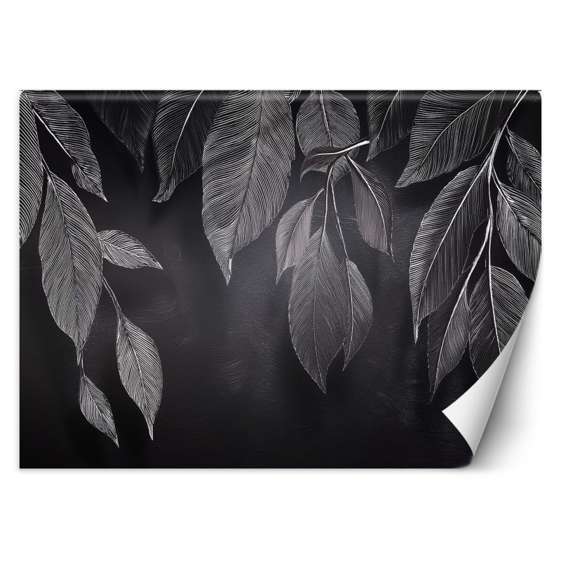 Fototapeta Feeby Minimalizm Liście Rośliny Czarno Biały 300x210 1 szt