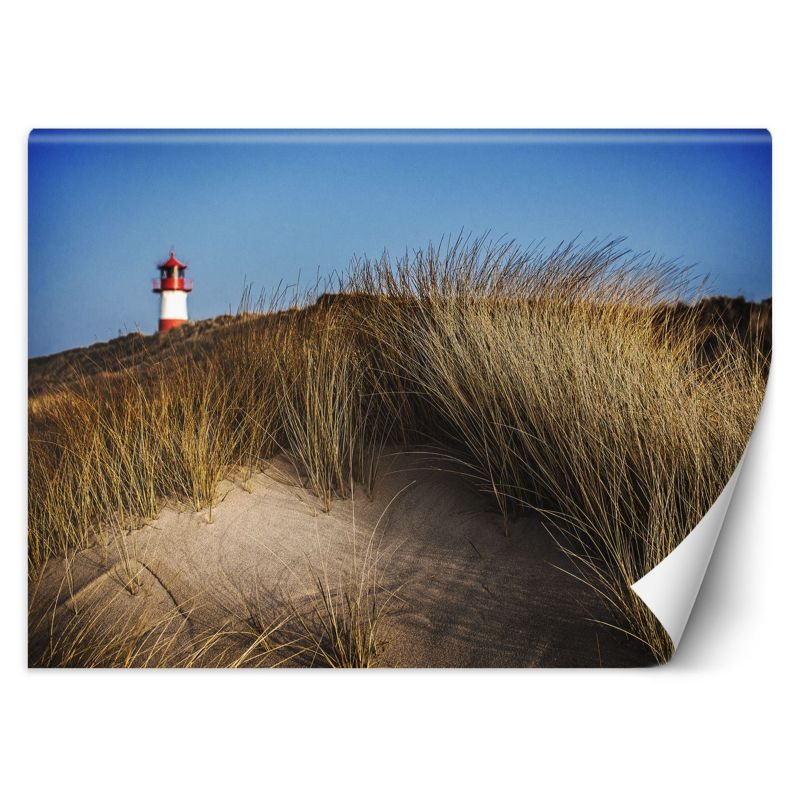 Fototapeta Feeby Latarnia morska wydmy trawy morze 200x140 1 szt
