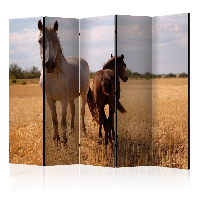 Parawan jednostronny Artgeist Zwierzęta 225x172 cm Zwierzęta 1 szt