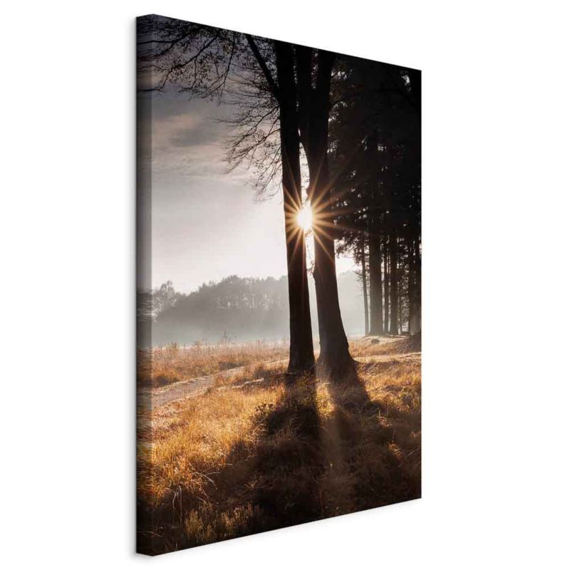 Obraz Artgeist Jesteśmy promykiem 80 x 120 cm flizelina 1 szt