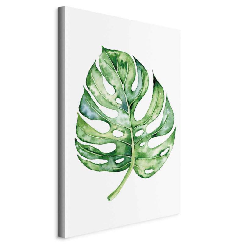 Obraz Artgeist Akwarelowa monstera 40 x 60 cm flizelina 1 szt