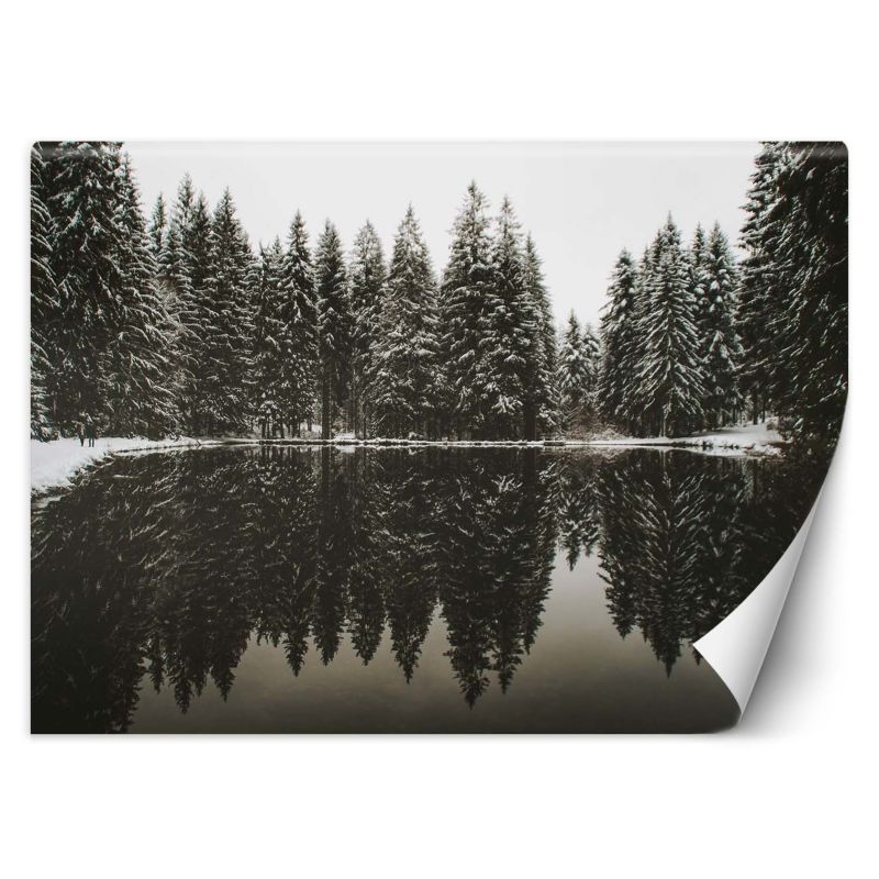 Fototapeta Feeby Jezioro las zima natura 150x105 1 szt